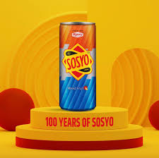 SOSYO MIX FRUIT DRINK 24x250ml